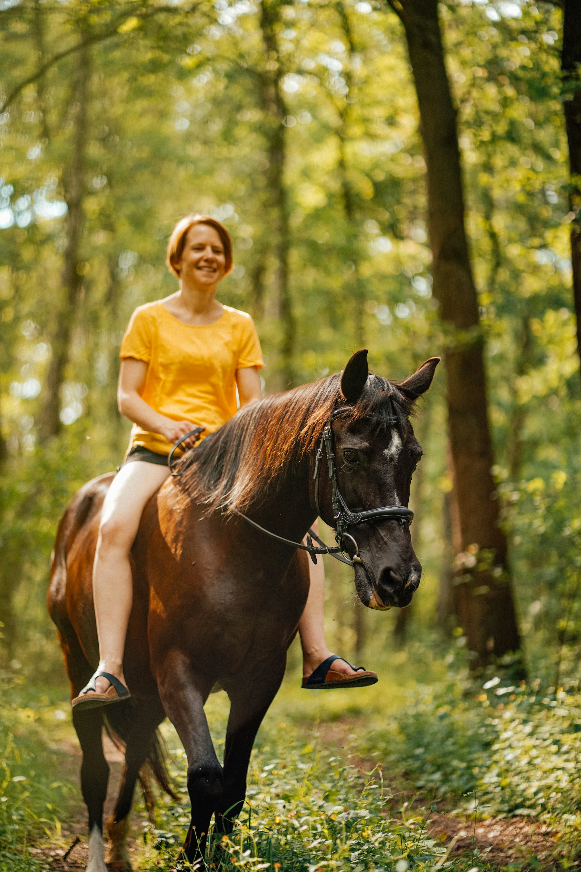Pferd im Wald – Vereinsapp für Reitvereine